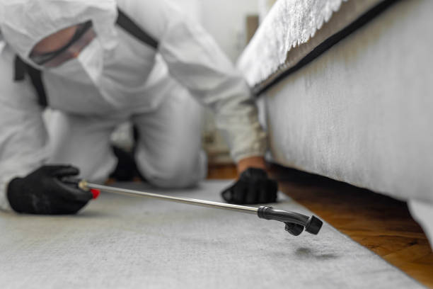 Professional Termite Control technician working in Pierz, MN