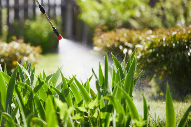 24/7 Emergency Termite Control experts in Pierz, MN